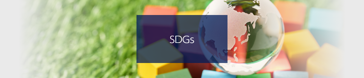 Our Initiatives to Help Achieve the SDGs